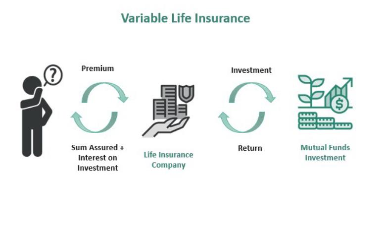 Variable life Insurance